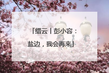 缙云丨彭小容：盐边，我会再来